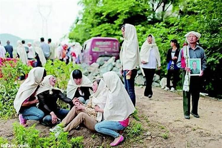 鼠鸡男和属鼠女适合