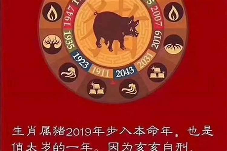 今年的害太岁的生肖2022