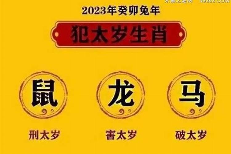 属蛇犯太岁戴什么