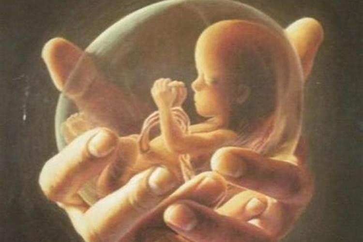一个月堕胎算不算婴灵