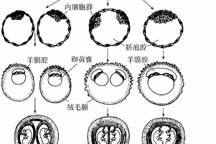 双胞胎的命格特点是什么呢