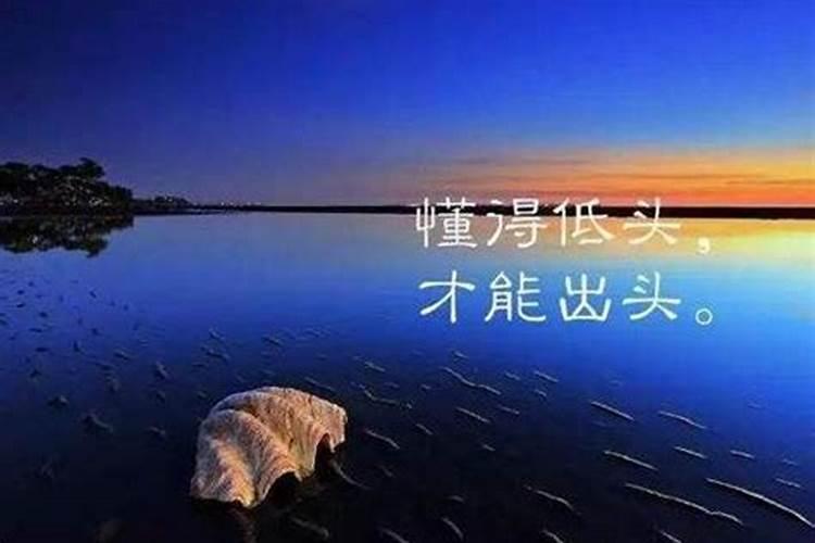 一个人的命运靠什么能够改变