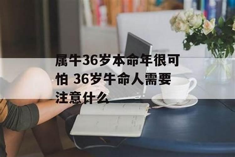 36岁牛女本命年要注意什么