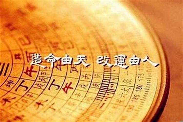 82年属狗的2022年要孩子怎么样