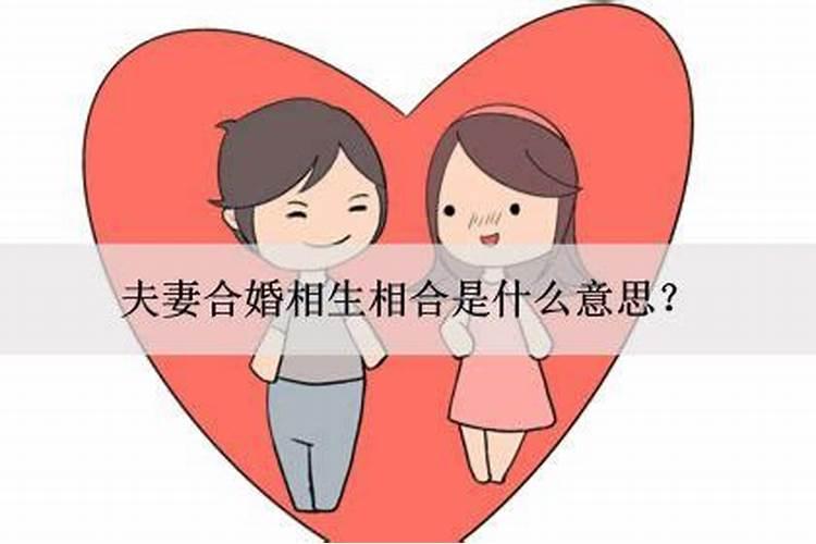 虚合婚是什么意思