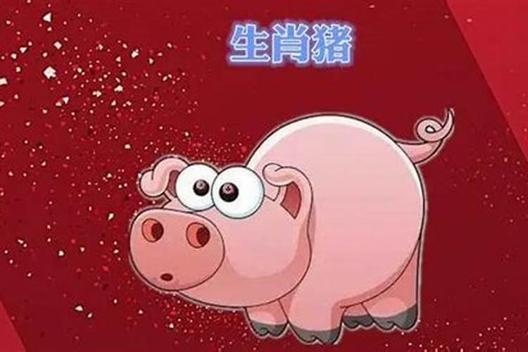 2021属虎今年犯什么