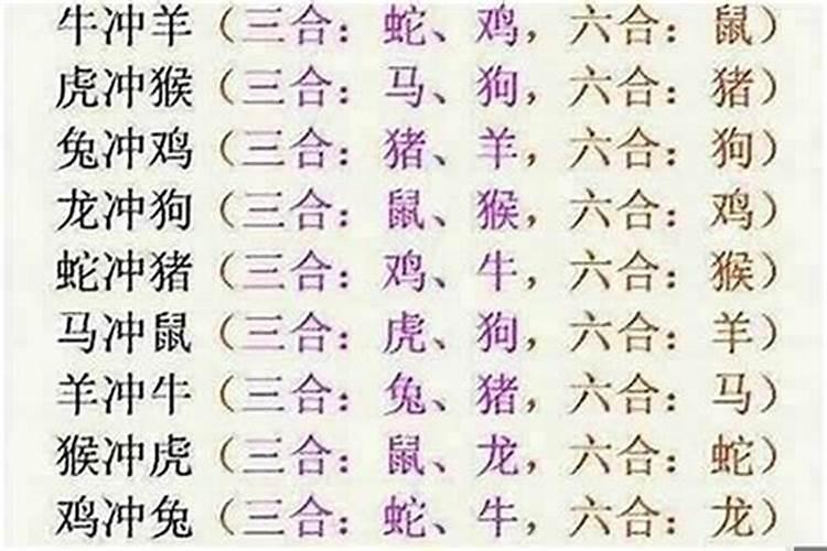 生肖马和龙八字合吗