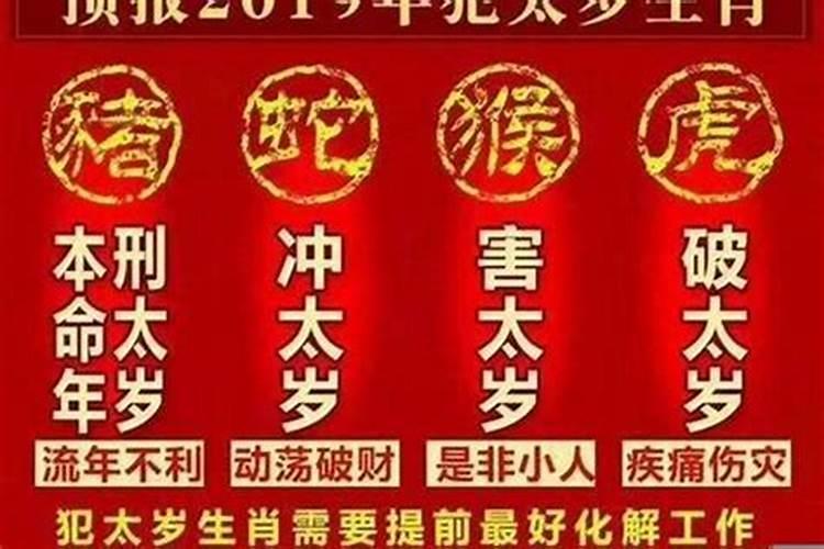 属鼠本命年避什么属相