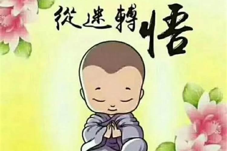 属兔的人本命年结婚好吗