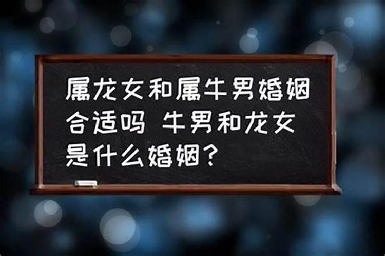 牛龙属相婚配可以吗