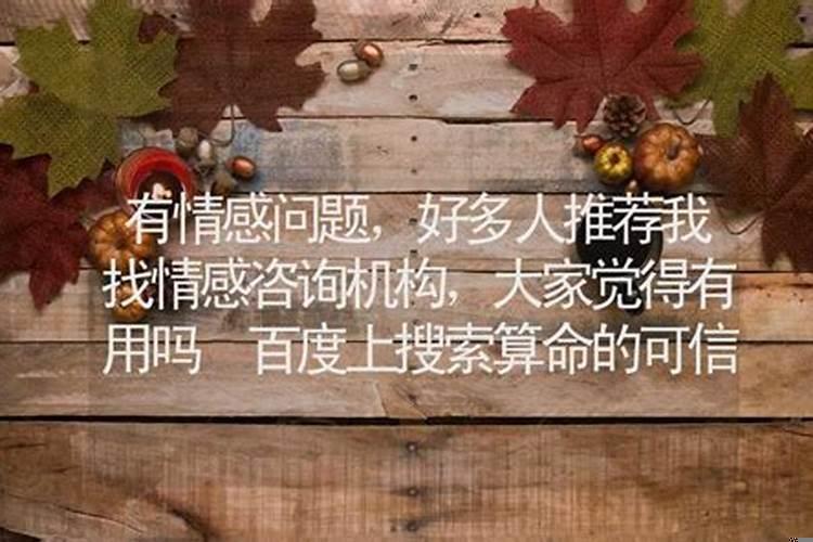 感情算命准吗