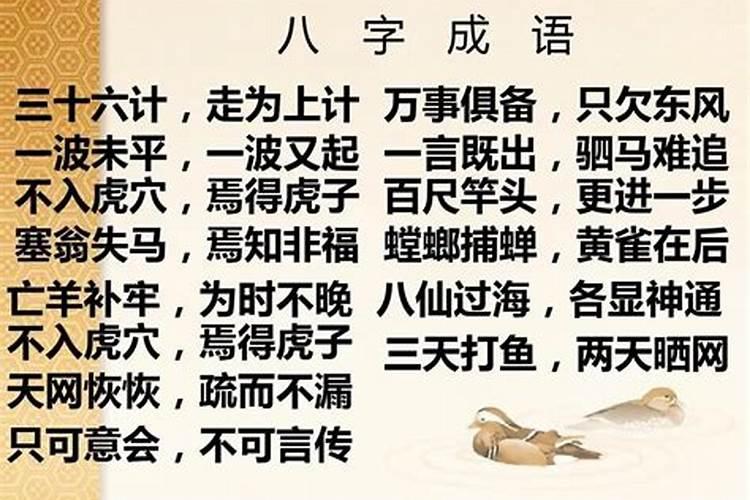 爱情美满的八字