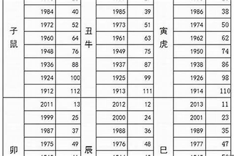 2008年出生的属猪今年几岁了