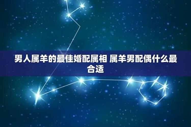 九一年属羊人最佳婚配属相男