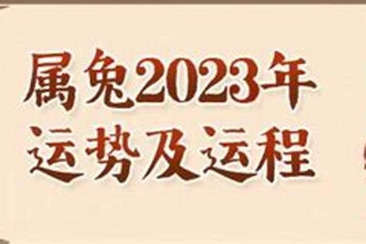 2023属兔全年运势1979