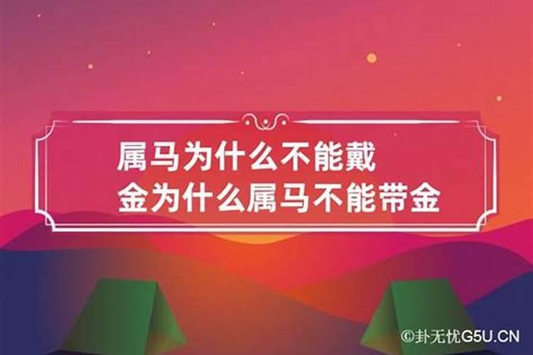 为什么属马的今年不顺