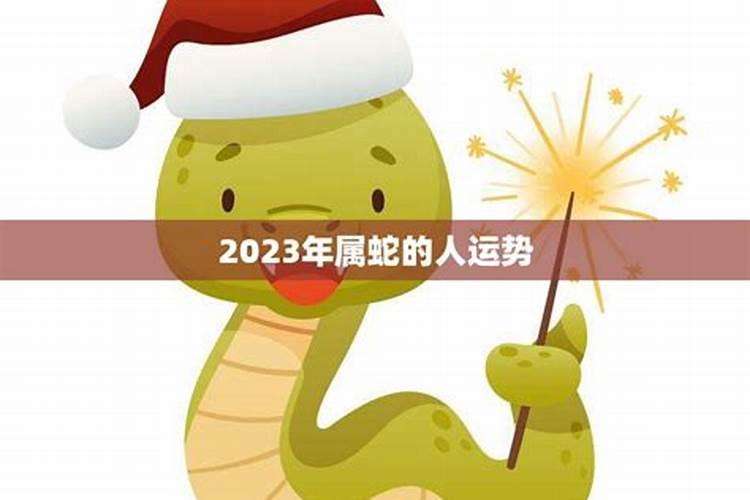 属蛇人2023年运势如何