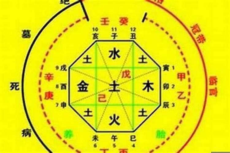 八字怎样看动婚姻宫