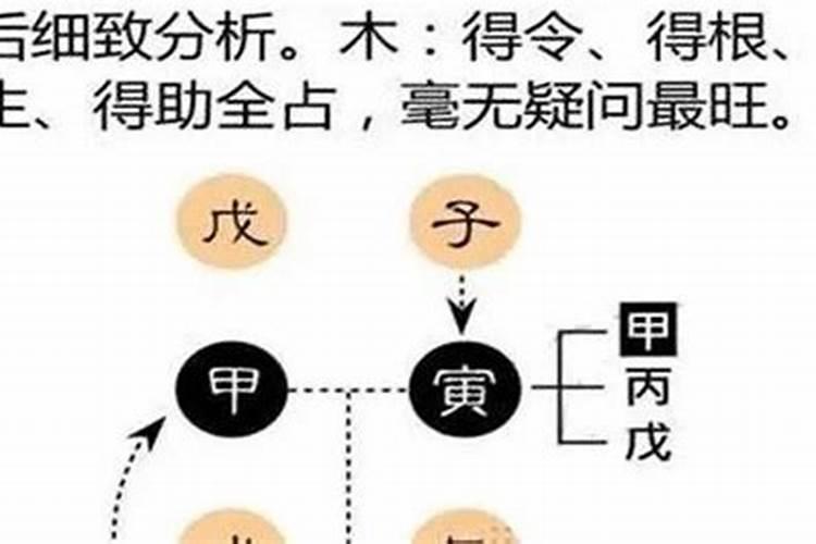 怎么判断八字的平衡性