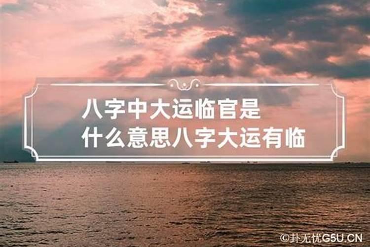 大运官官是什么意思啊