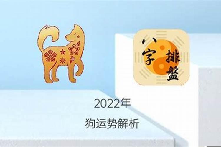 属狗的人2021年的偏财运