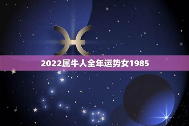 2023属牛人全年运势1973