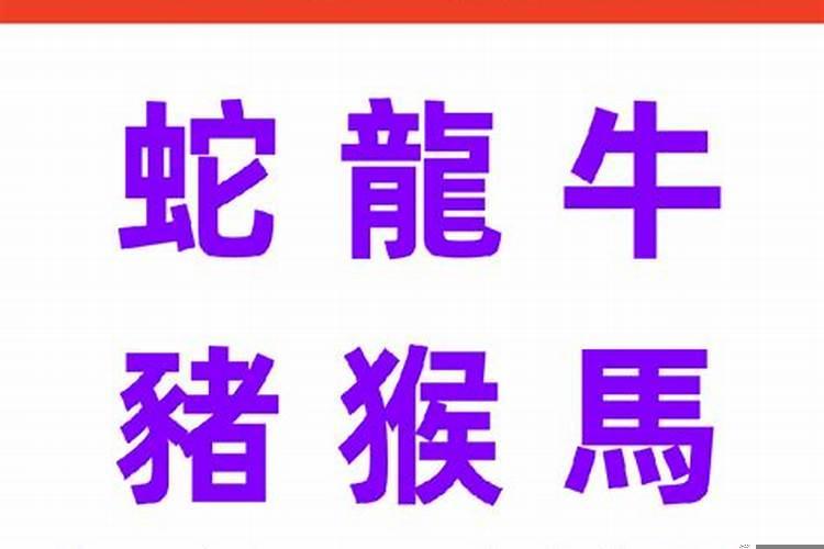 2021年2月17日属什么生肖属相