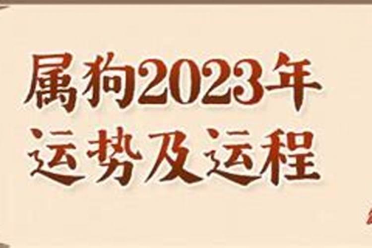 2023年属狗是什么命男