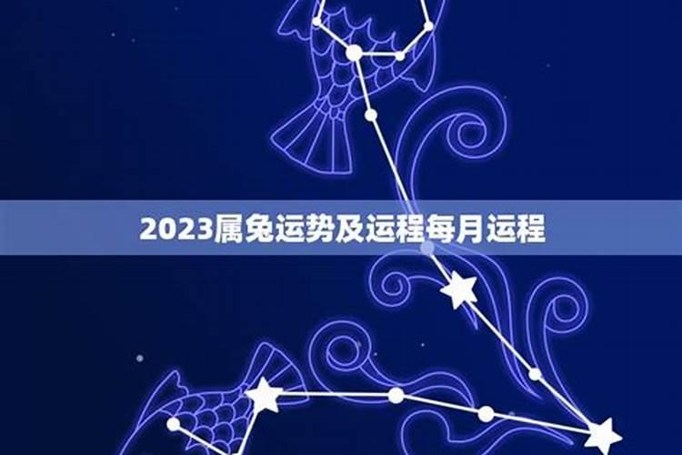 属兔2022年运势详解女性婚姻