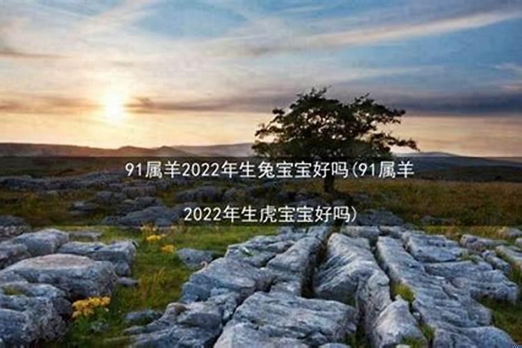 91年属羊2022年生虎宝宝好吗