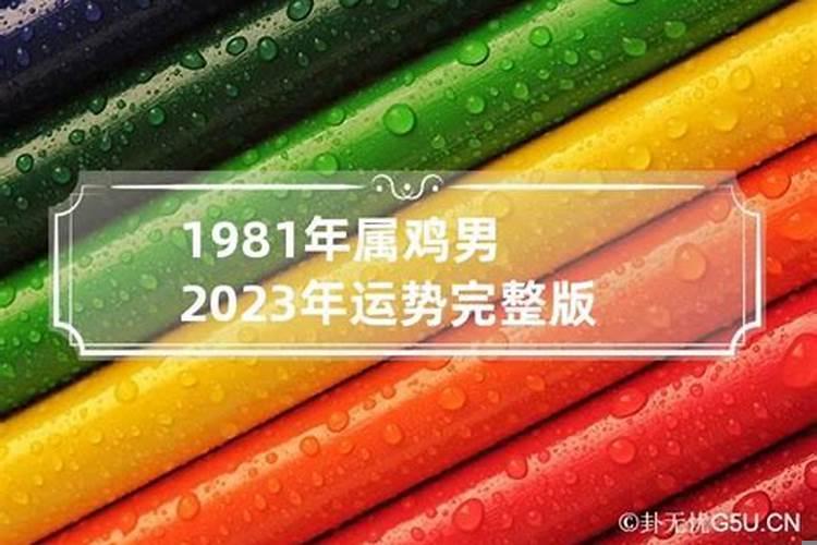 1981年2023年属鸡人的全年运势男