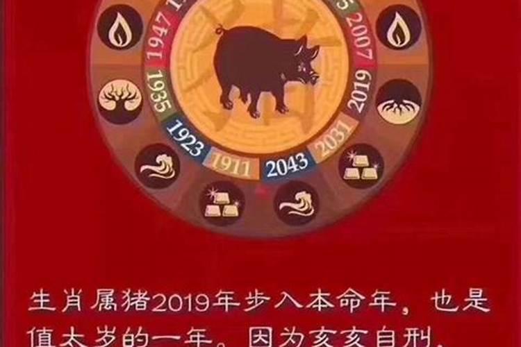 2018年犯太岁的属相