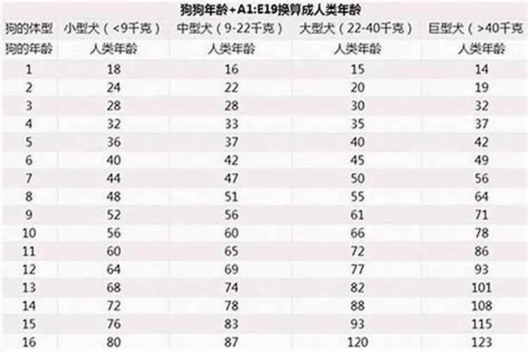 属狗2024年多大年龄