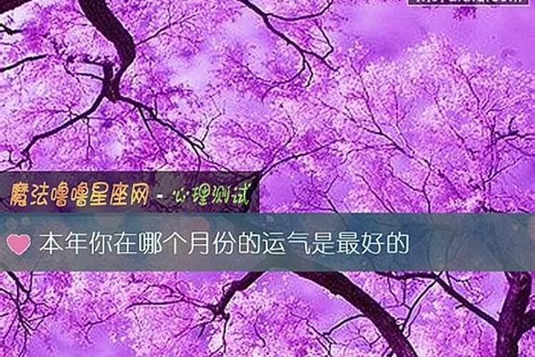 本历年财运如何