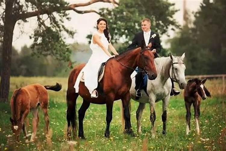 男子属马的最佳婚配是什么属相女