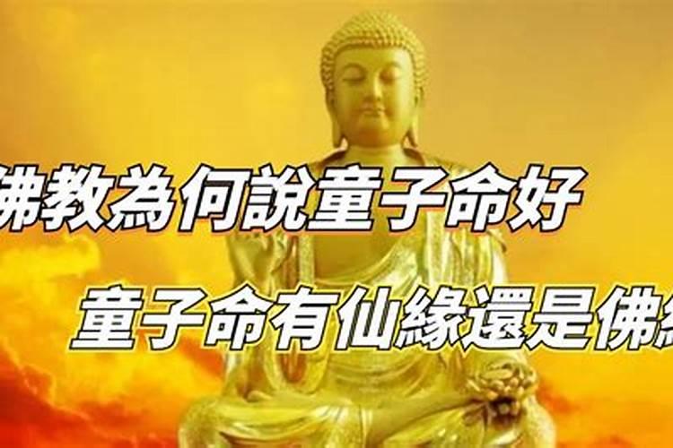 鼠本命年属相相冲怎么办