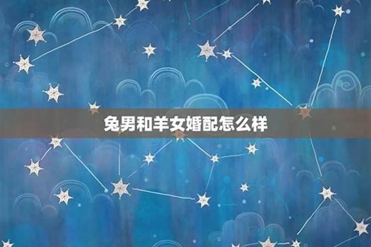 属兔今年多大岁数2021年