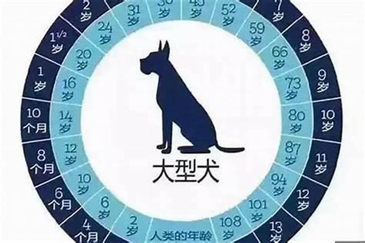 属狗的今年52岁是哪年出生的