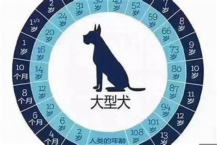 52属狗的是几年的