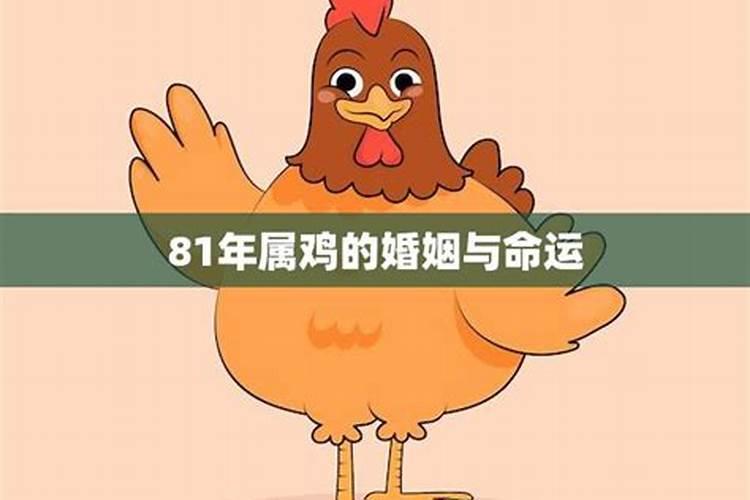 结婚合八字是看什么