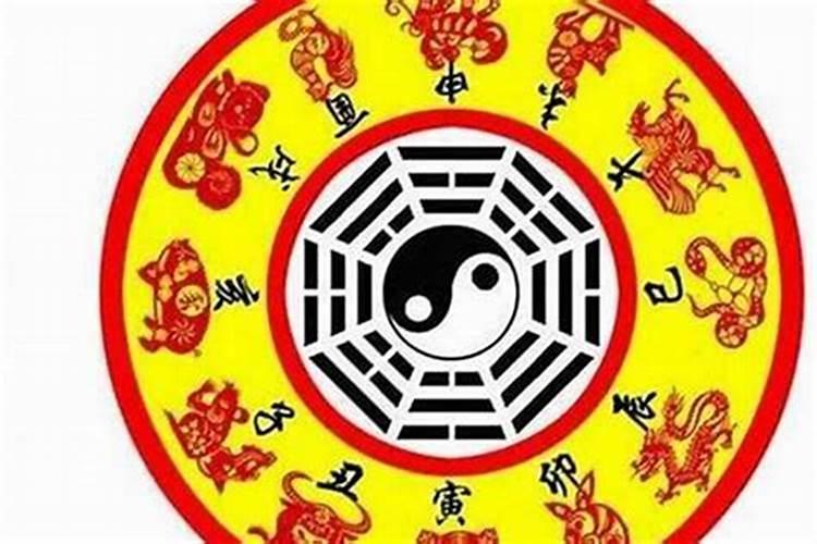 属蛇的今年犯太岁吗?