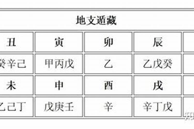 男人地支藏正财