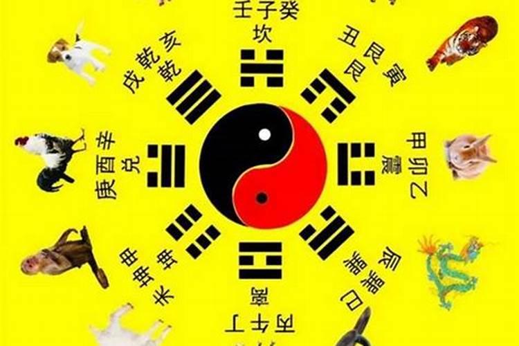 生肖虎属相五行属什么