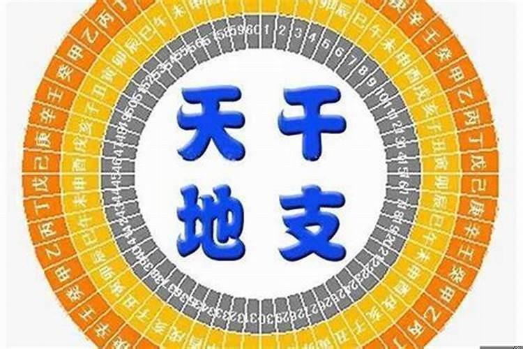 八字地支相连