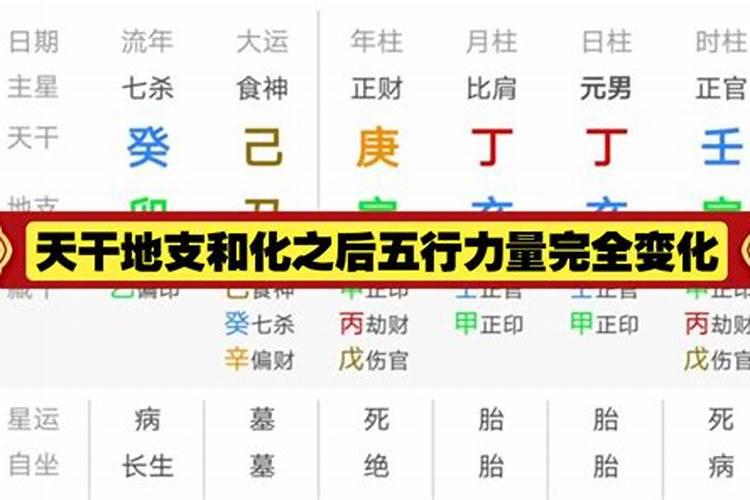 八字地支能完全合化吗为什么