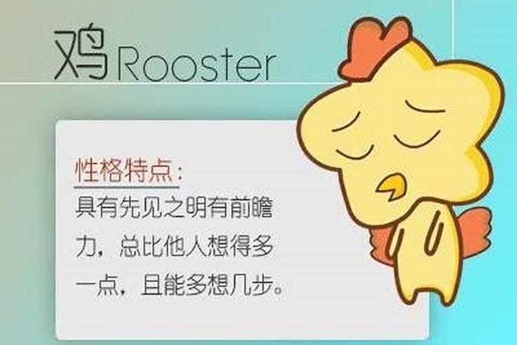 属鸡的男人婚姻好不好