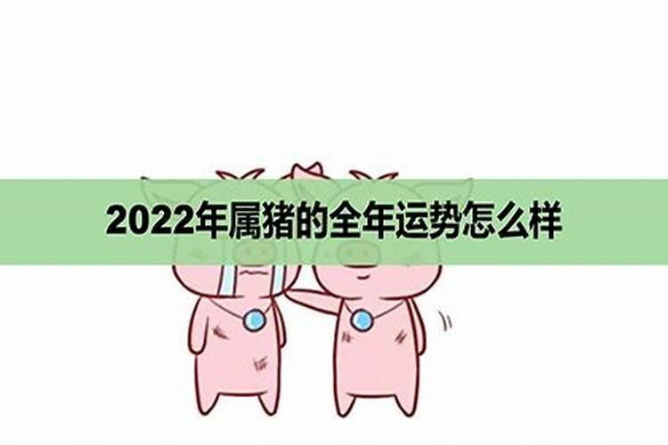 虎年属猪的运势怎么样2022