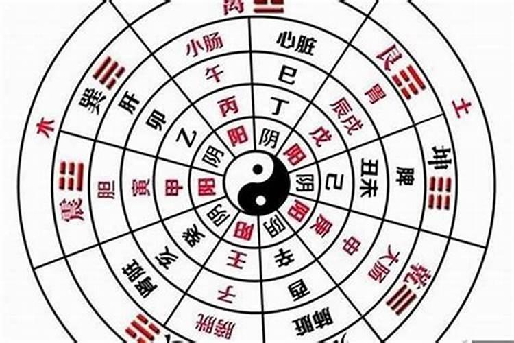 什么样的人八字属阴