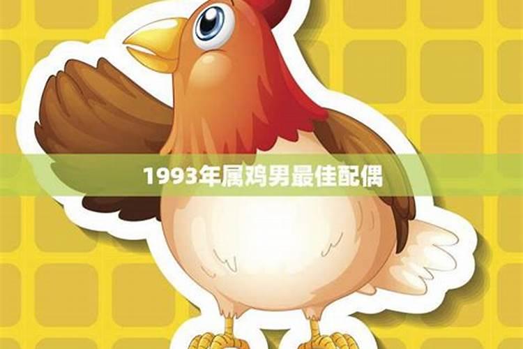 1993年属鸡男的最佳配偶是