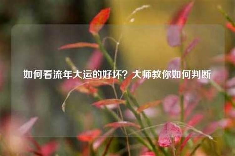 本命年啥时候可以结婚登记